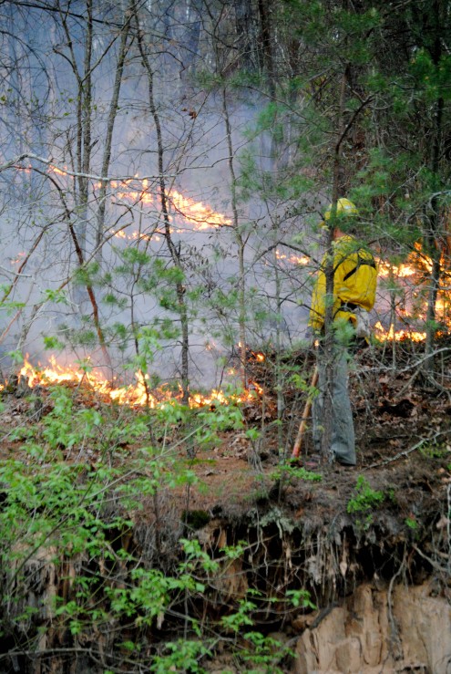 Firefighter and Brush Photo By: Courtney Earll